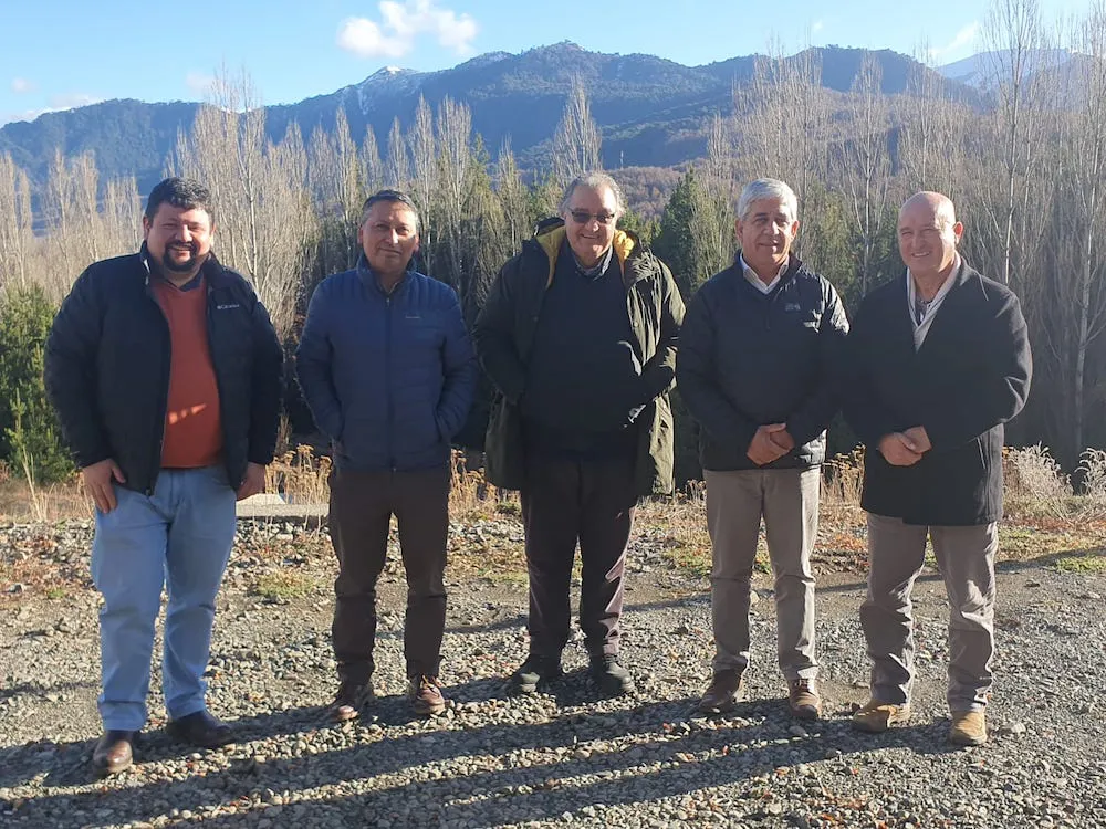 Huenchumilla en Lonquimay