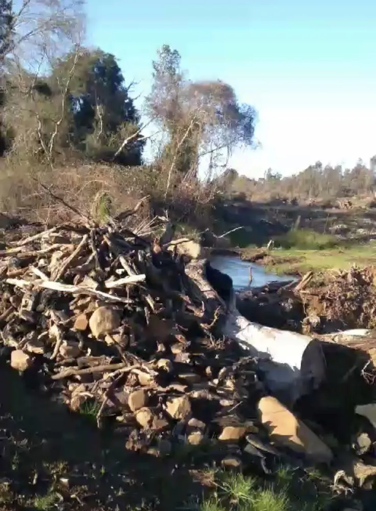 Corte de arboles en estero de Collipulli - Parque Eolico