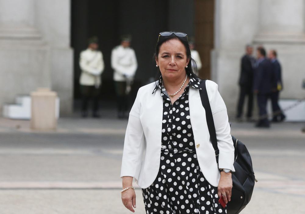 senadora Carmen Gloria Aravena.