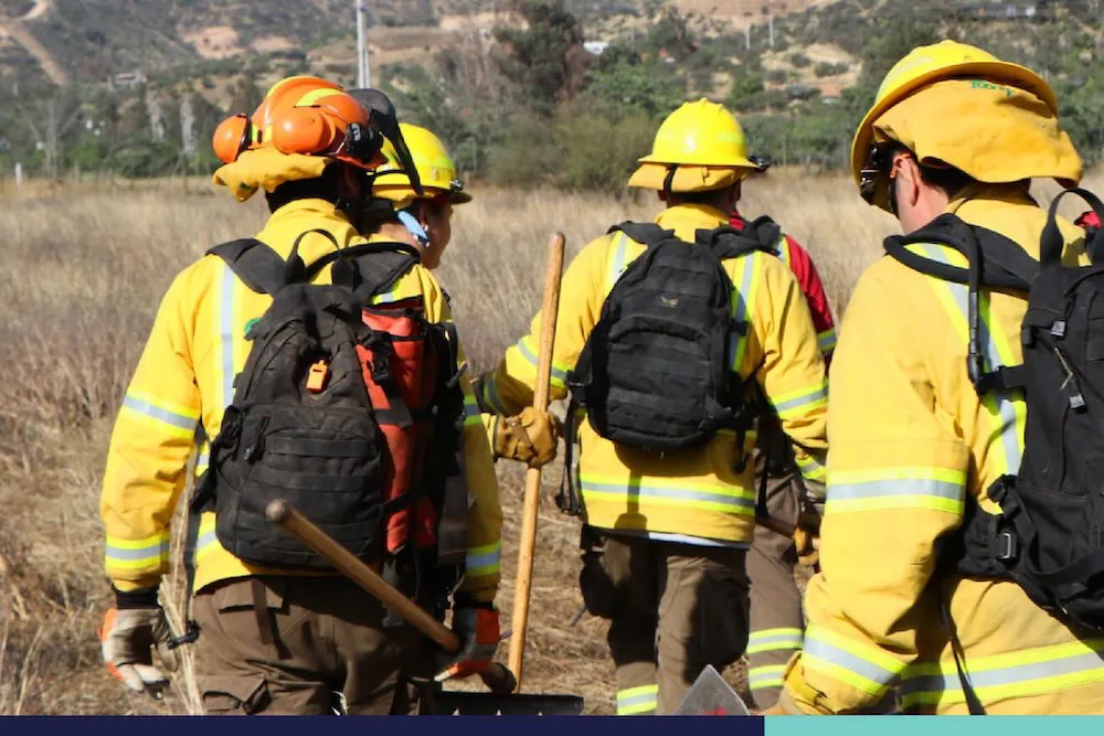 Brigada de Conaf Araucania