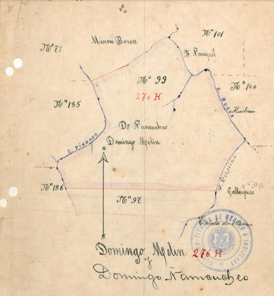 Tierras ancestrales Comunidad Domingo Nancucheo