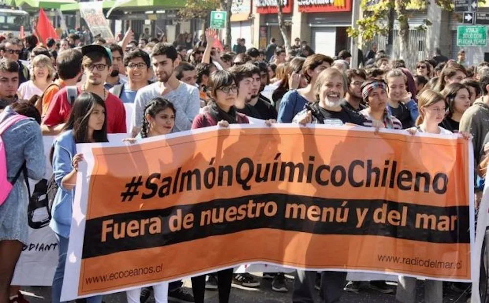 Ecoceanos-escalada-agresiones-salmoneras