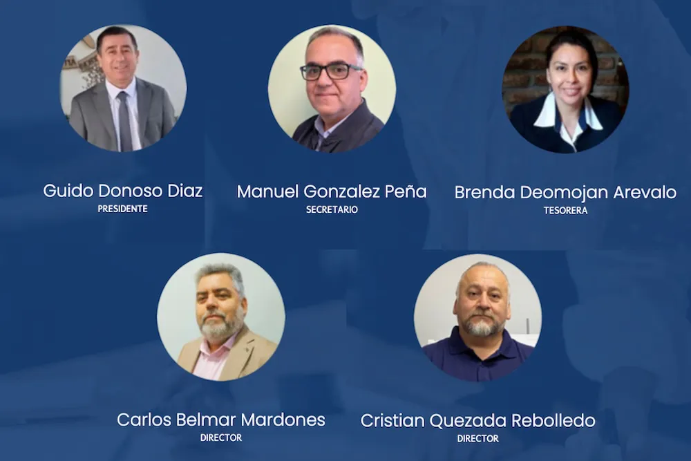 Directiva AFUF UFRO