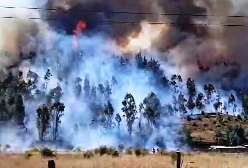 Incendio forestal de Los Sauces
