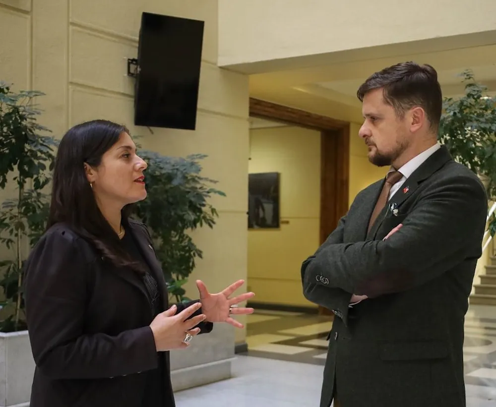 Diputados Karen Medina y Stephan Schubert