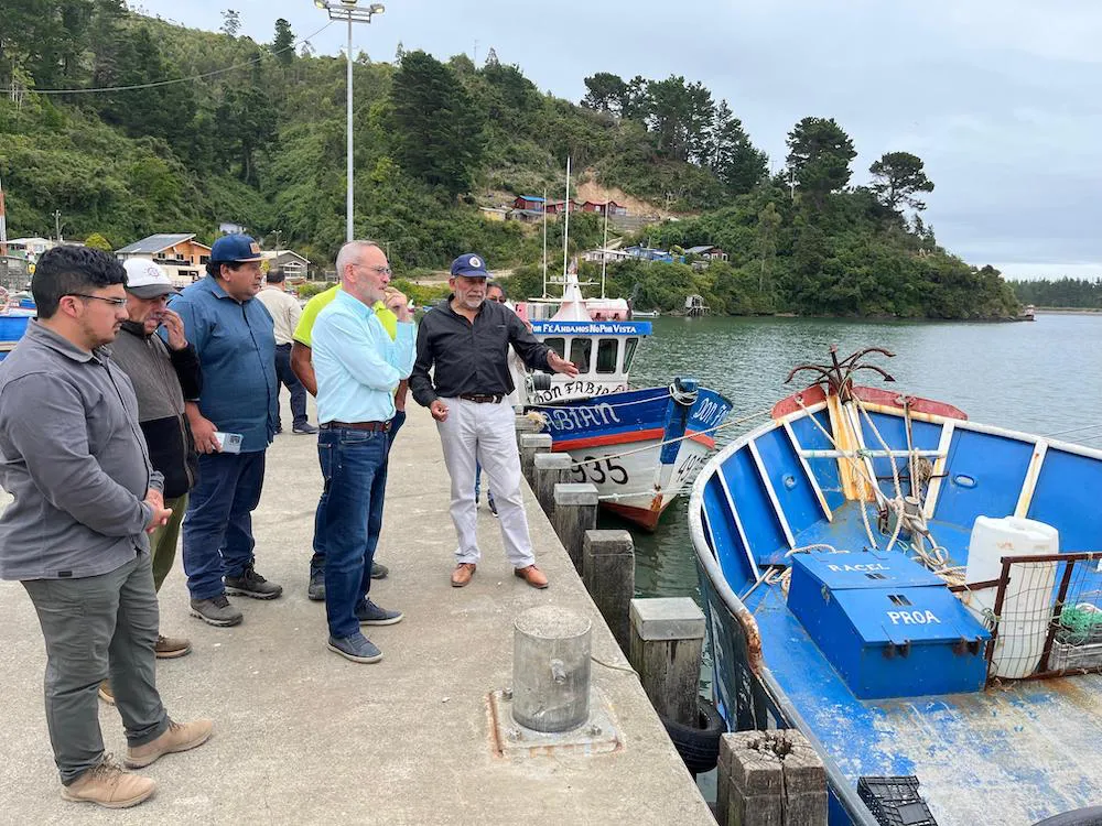 pescadores de Toltén