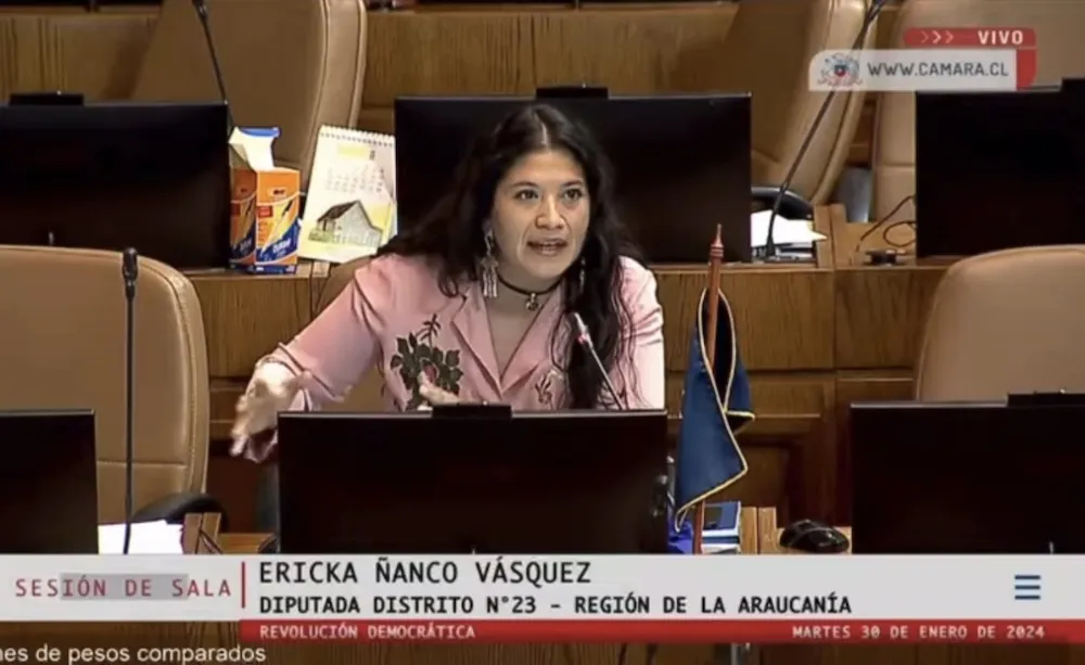 Diputada Ercka Nanco