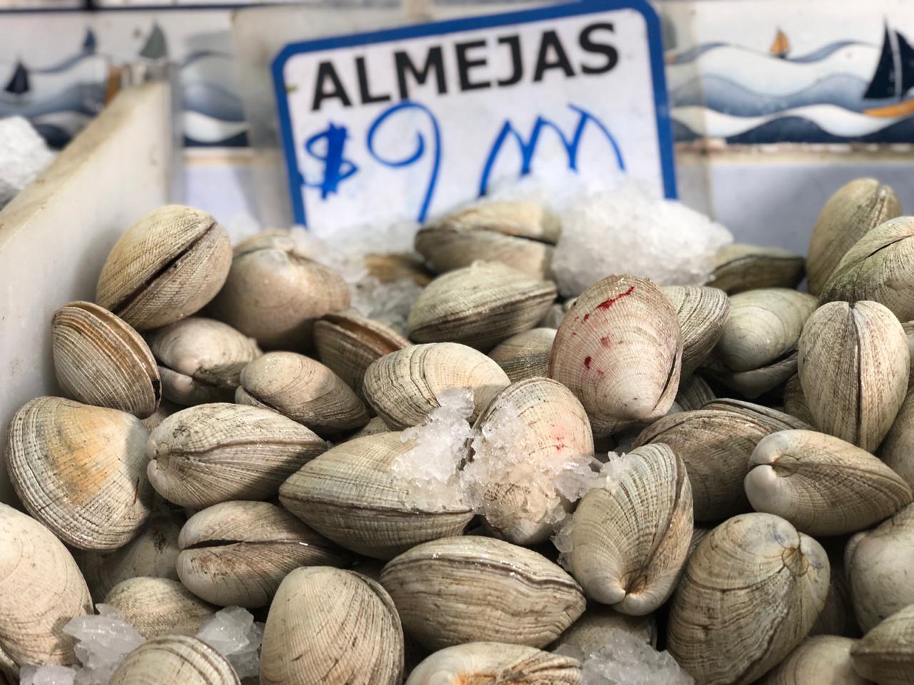 WhatsApp Image 2019-04-16 at 14.56.42