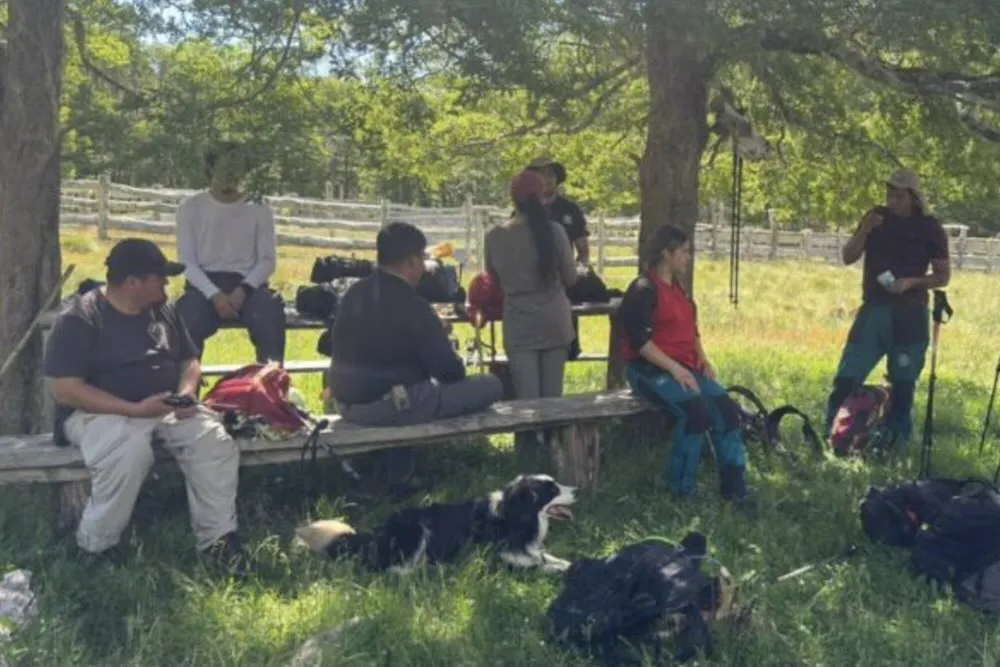 Intensifican búsqueda de joven extraviado en Parque Nacional Villarrica