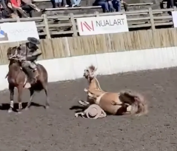 Jonete es aplastado por caballo en el Rodeo de la SOFO