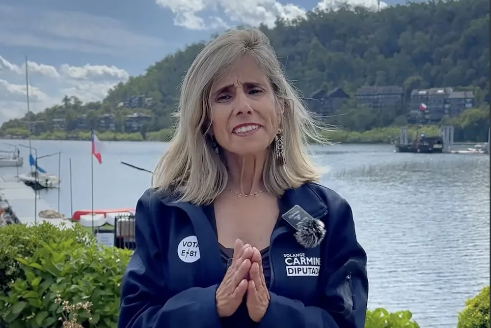Solange Crmine en su ultima campana a diputada - 2025