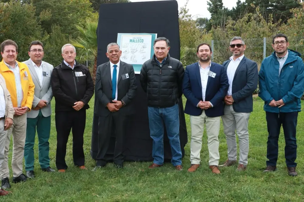 Asociacion comunas de Malleco