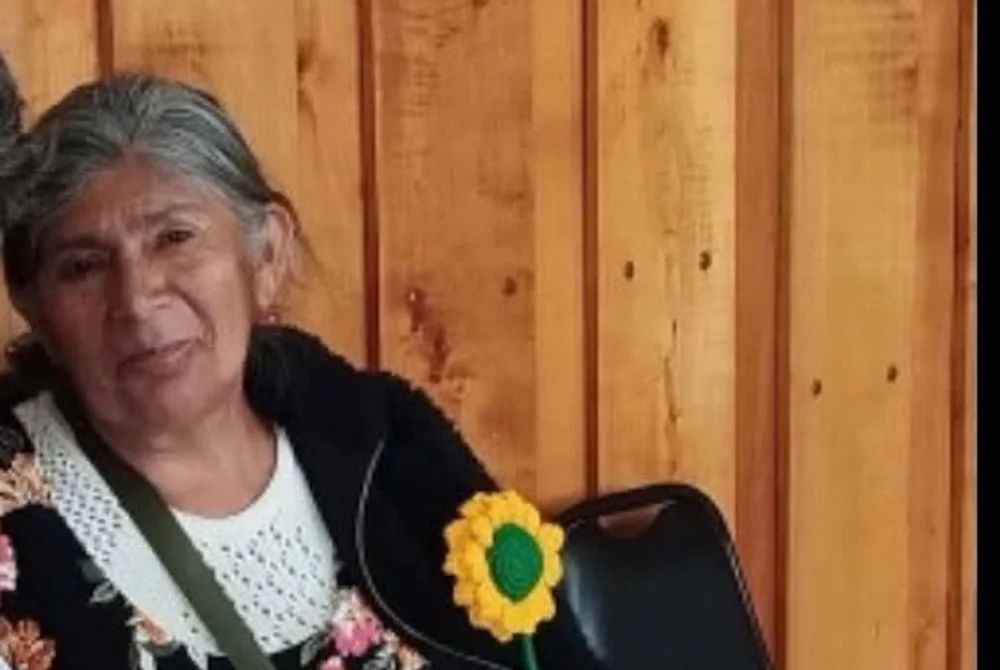 Rosa Claudina Levicura (QEPD) - fallecida en Ercilla