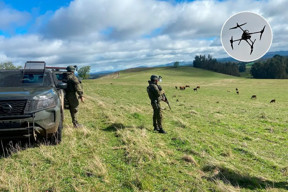 Carabineros recupera animales robados en Traiguen