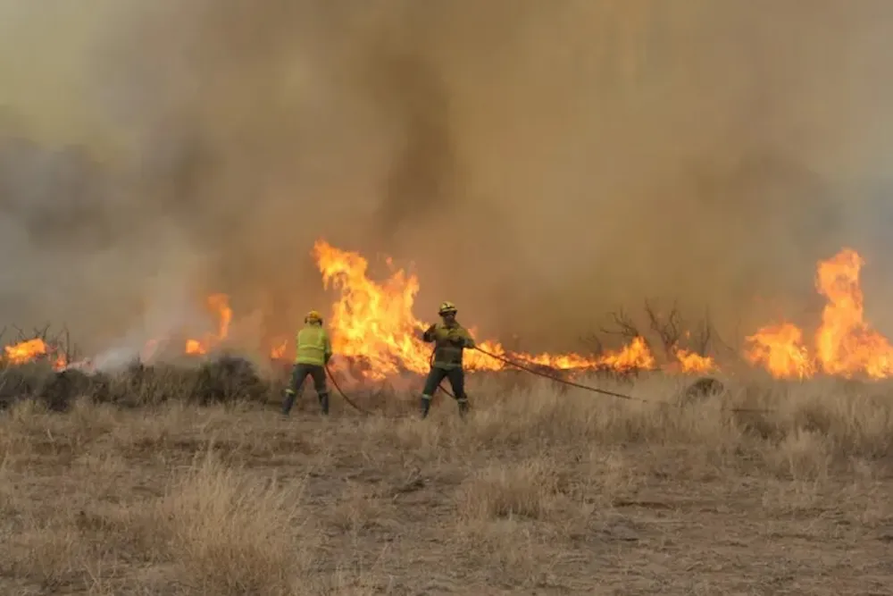Incendio forestal en pastizales - fotografia referencial