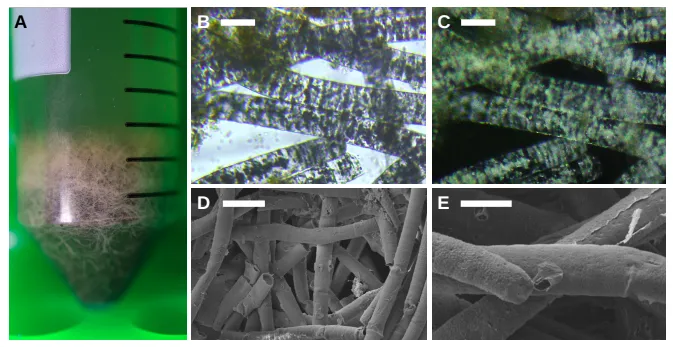Captura de Pantalla 2025-09-29 a la(s) 17.39.03