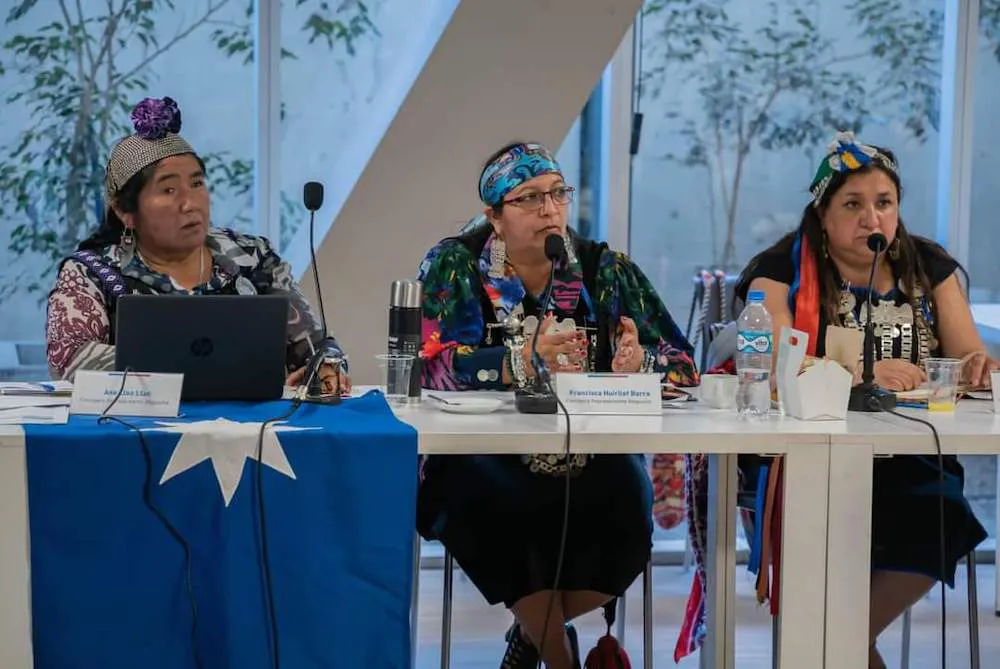 Francisca Huirilef consejera CONADI