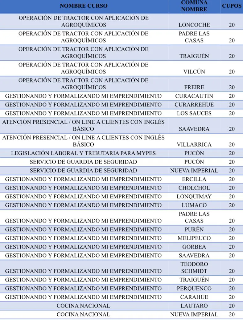 Tabla de cursos SENCE
