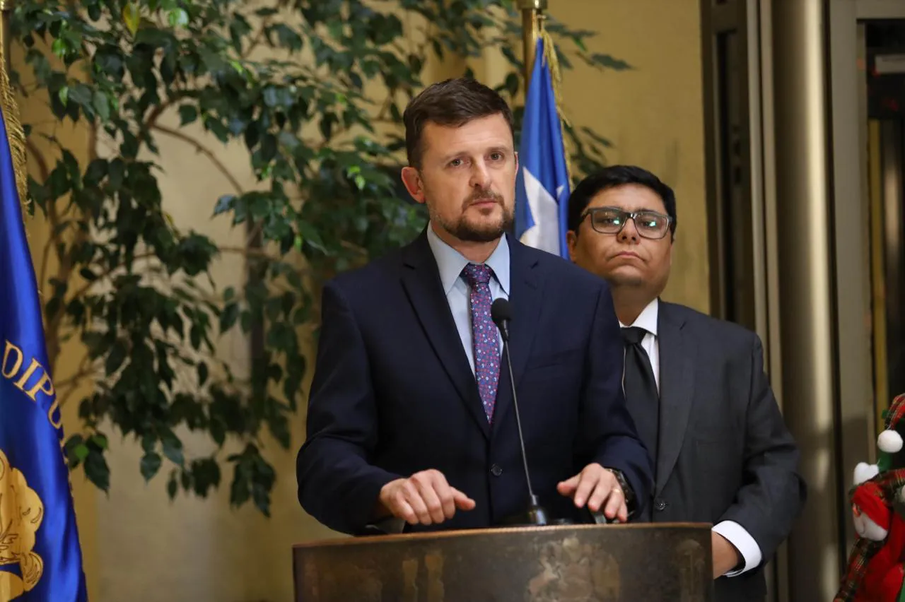 Diputado Stephan Schubert