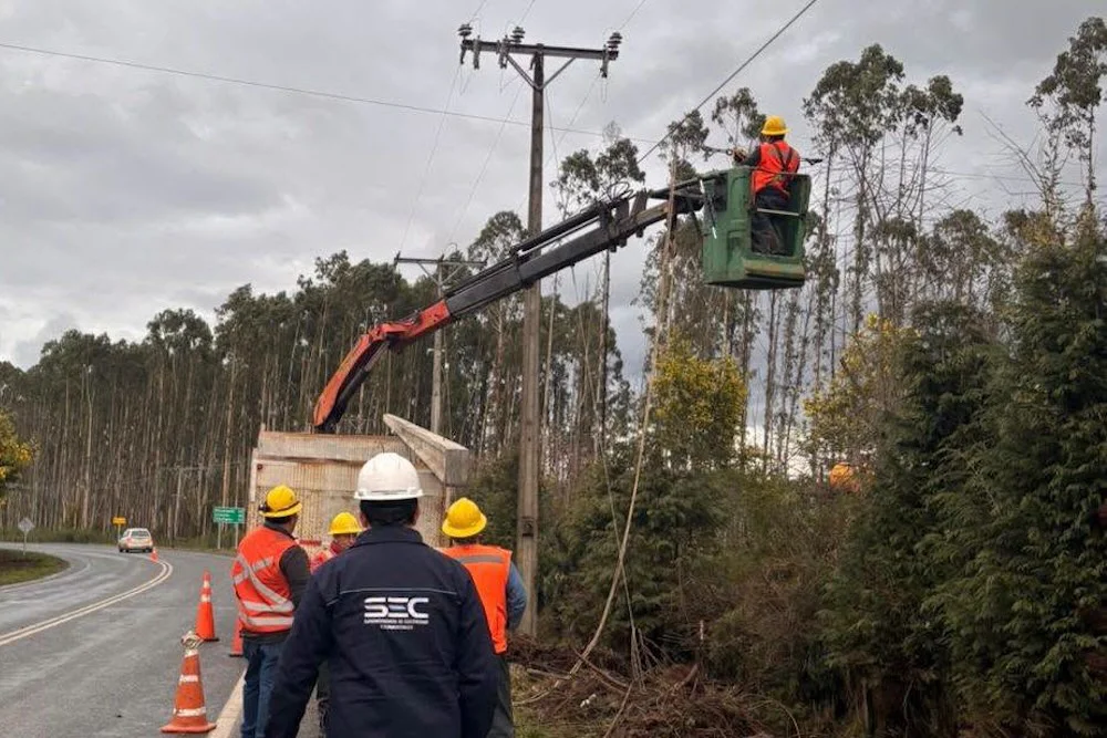 Corte de arboles cercanos a lineas electricas
