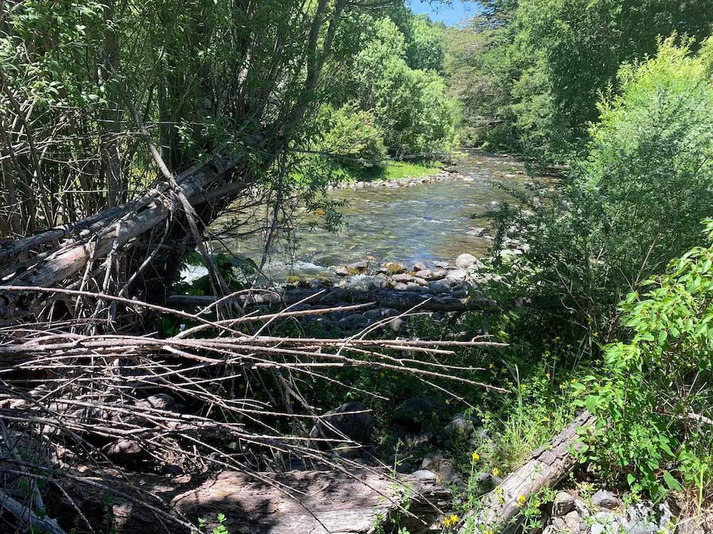 TRAFAMPULLI - CABURGUA