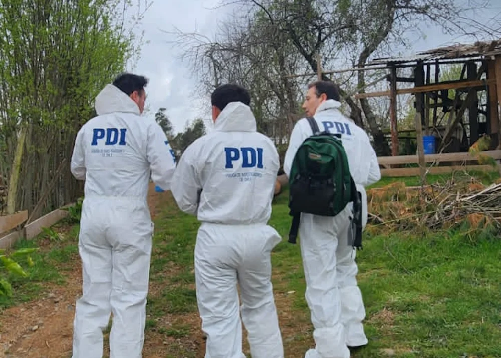 pdi 