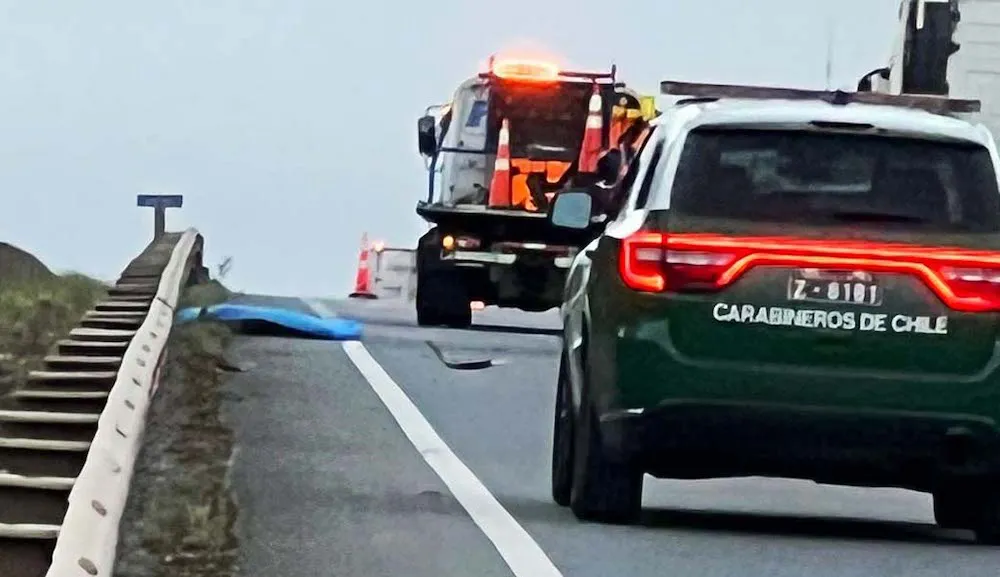 Atropello Ruta 5 Sur - Collipulli - Las Esperanza