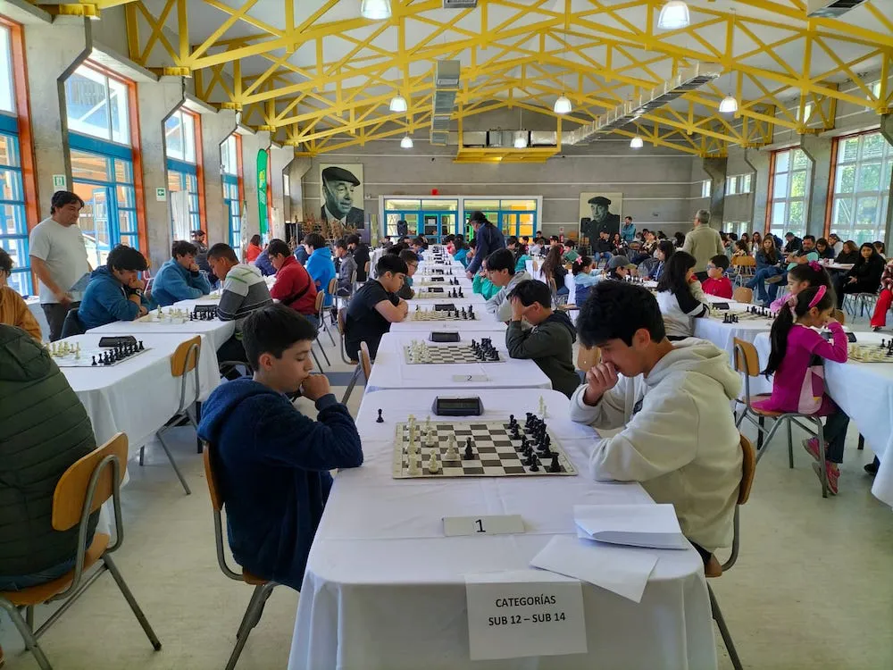 Ajedrecistas Club Torres del Nielol 