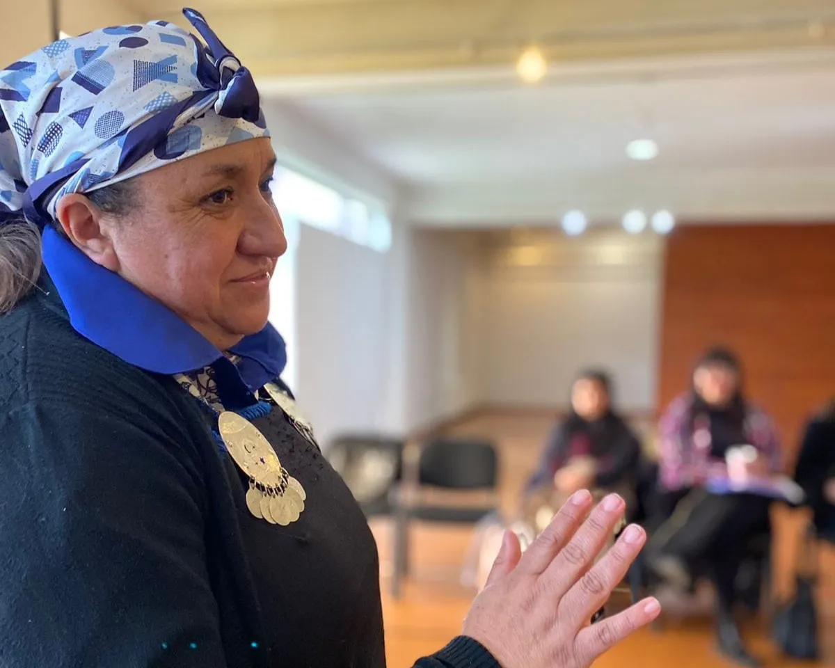 Consejera Conadi Elba Matuz