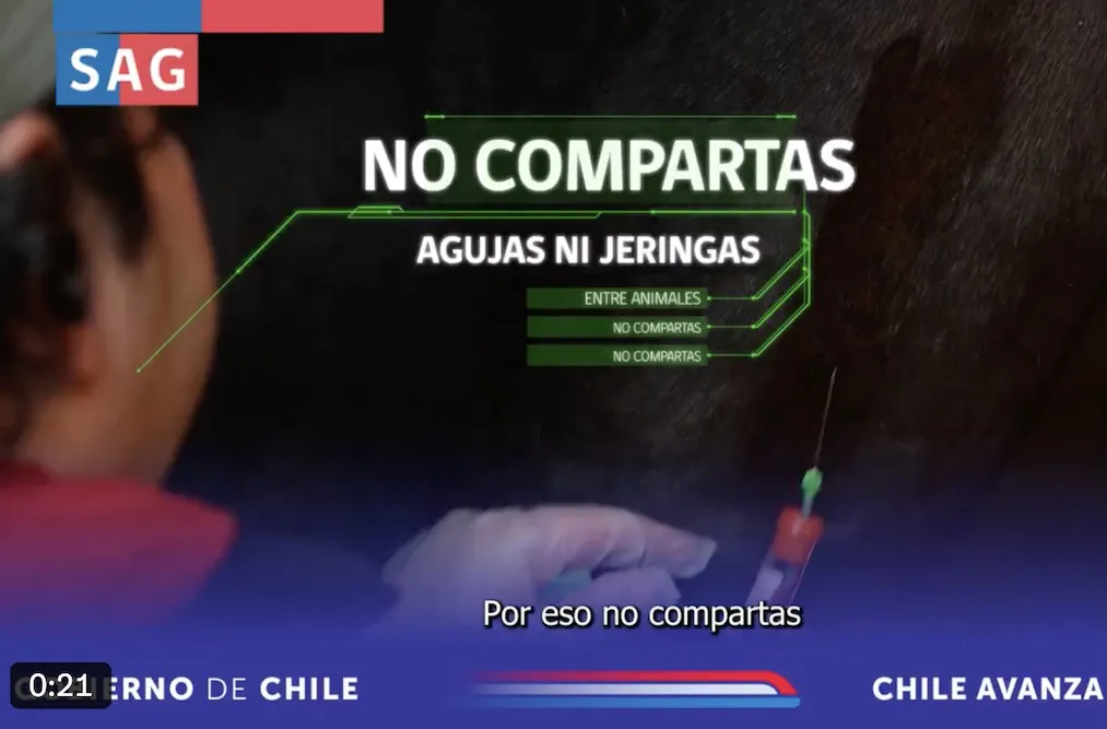 SAG - No compartas agujas ni jeringas en caballos