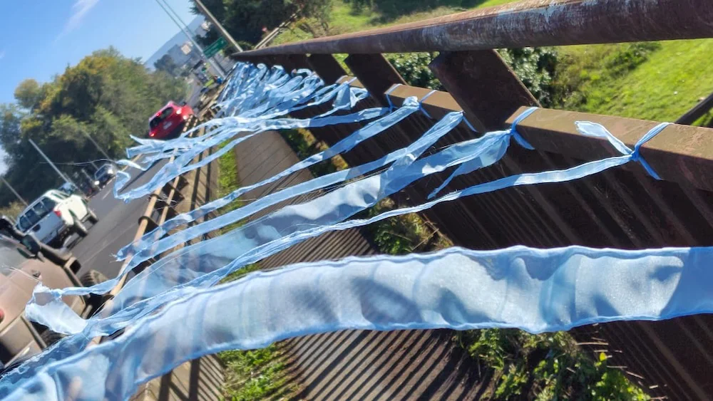 Cintas celestes en el Puente Cautin de Temuco