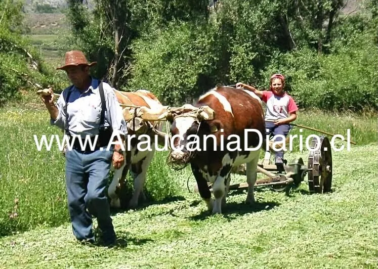 Jose Francisco Zarate Urra - imagen de su infancia