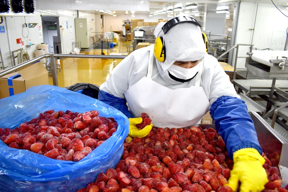 Frutillas