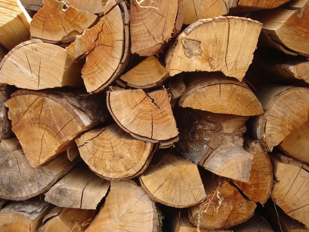 leña seca
