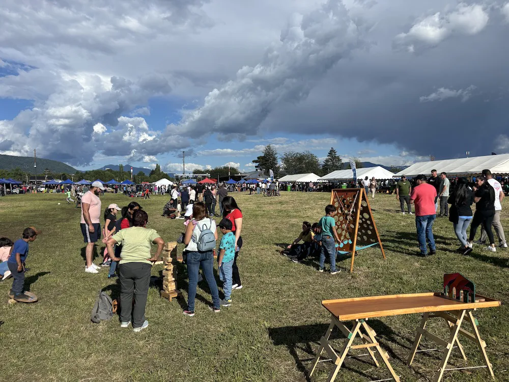 Expo del Día del Artesano 2024 Curacautín