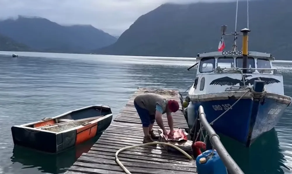 perdida-especies-nativas-chiloe-patagonia