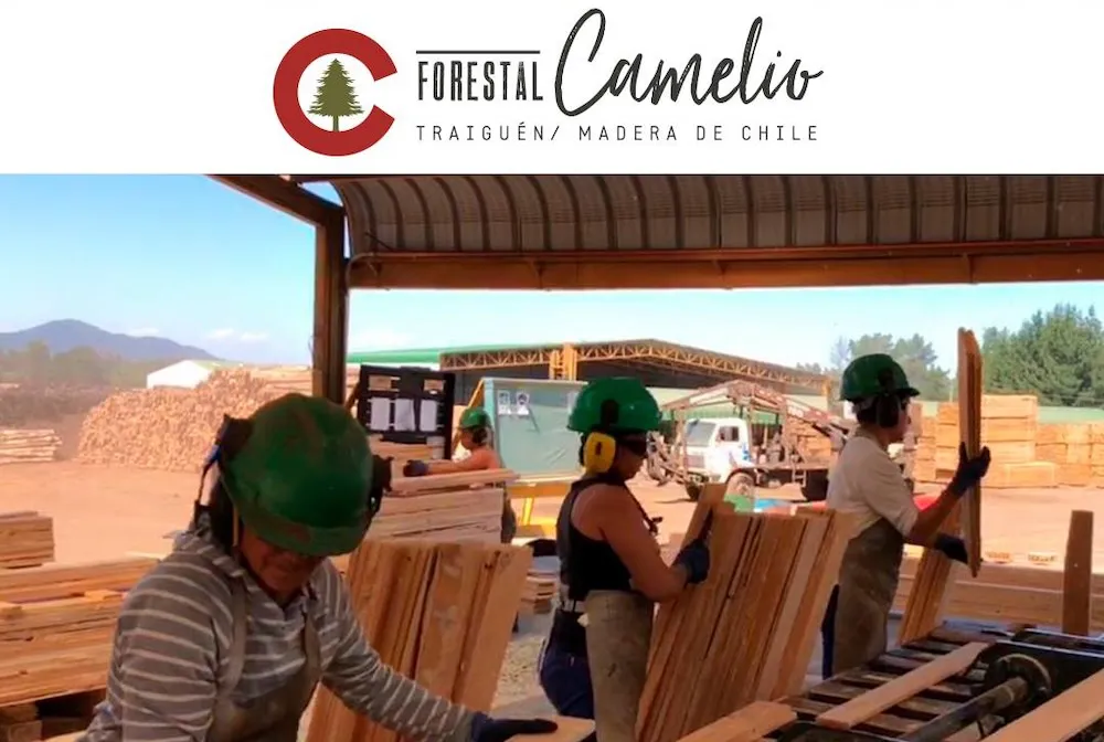 Forestal Camelio