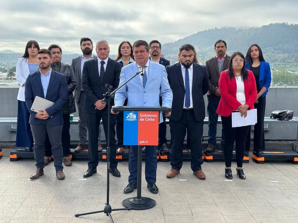 Vocería DPR Gabinete Regional Araucanía 110325