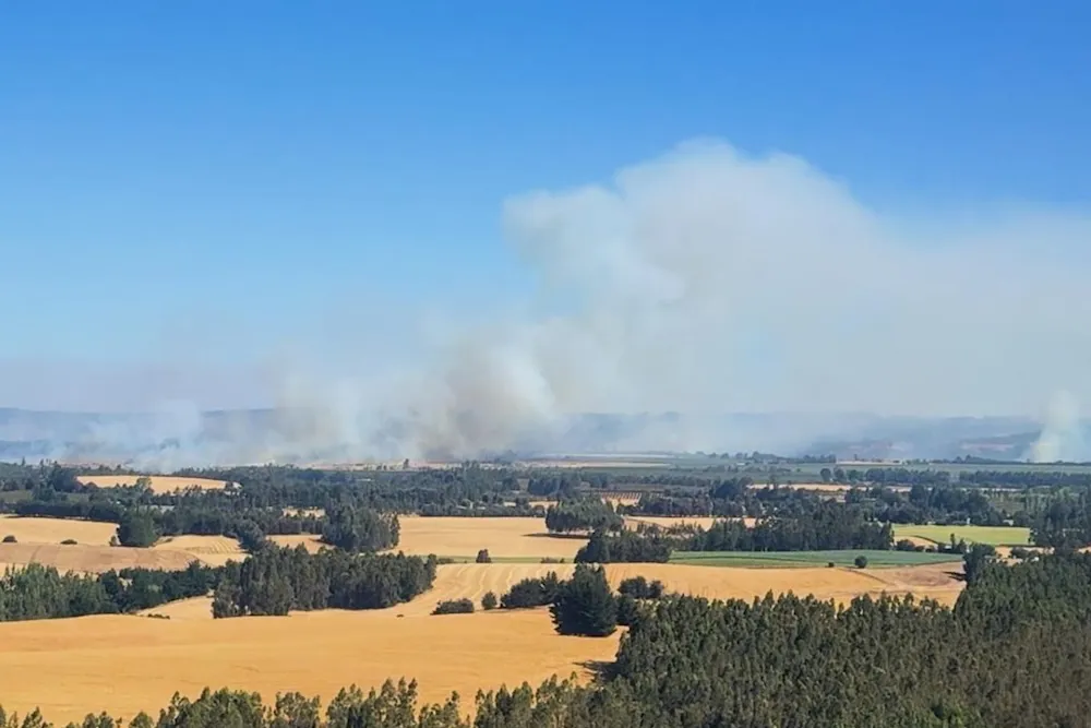 Incendios forestales en La Araucania