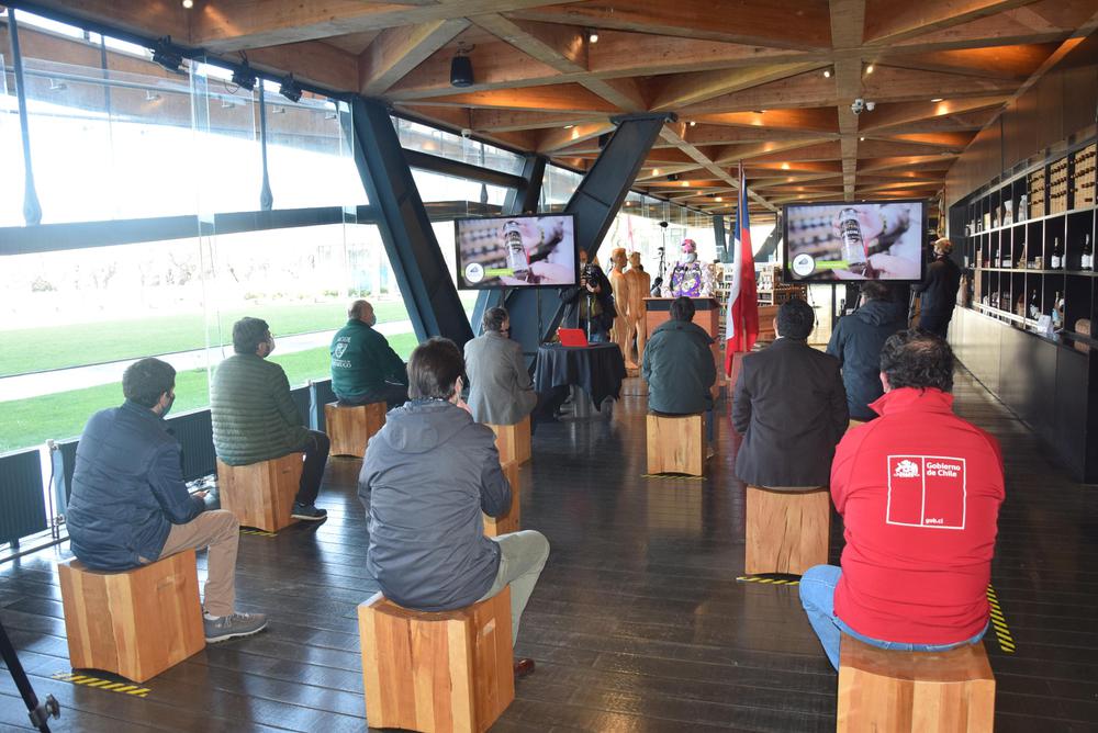 Apertura tienda online del Pabellón Araucanía.