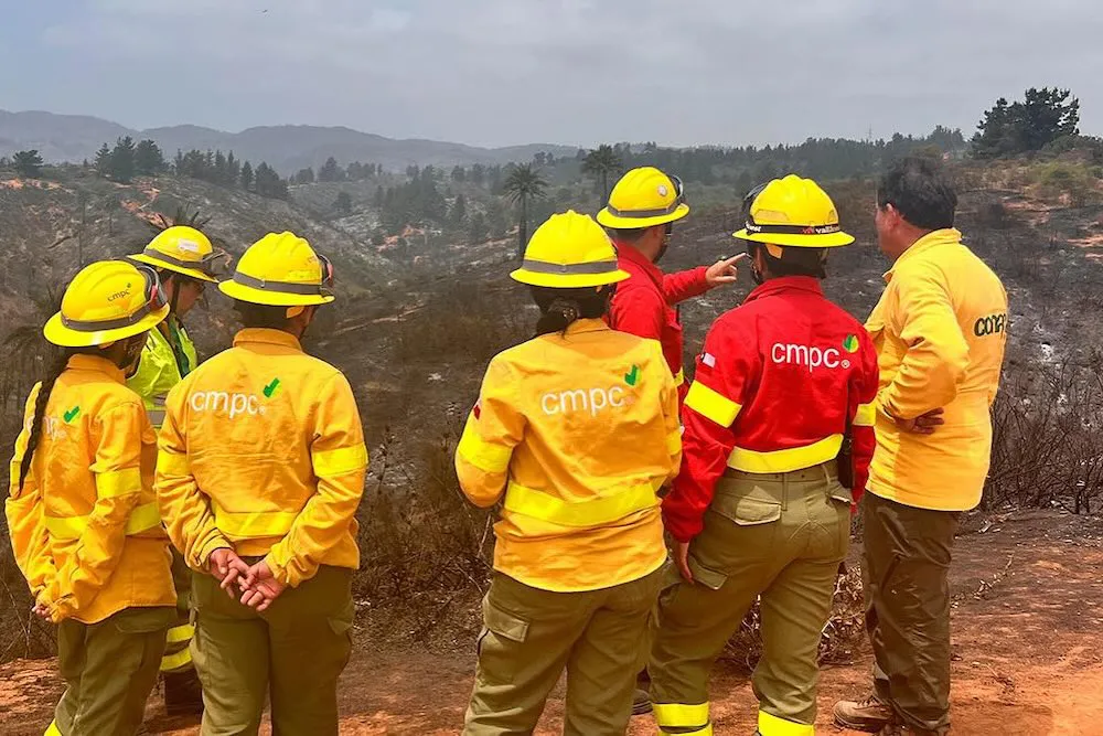 Brigadistas CMPC - fotografia referencial