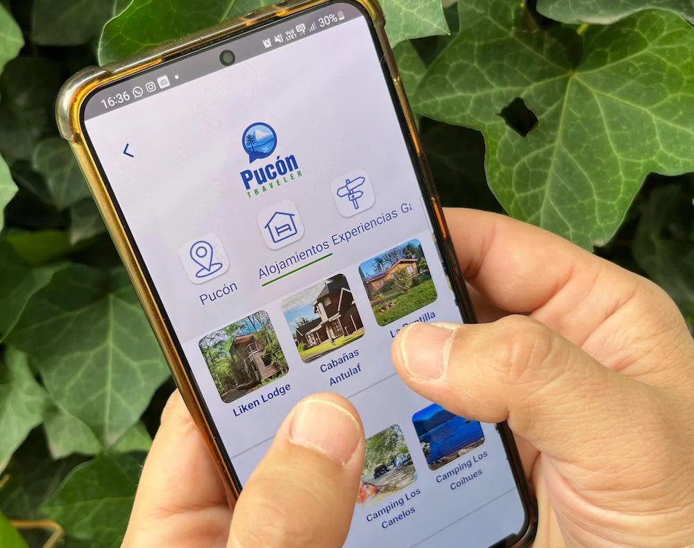 Traveler Tips Araucanía