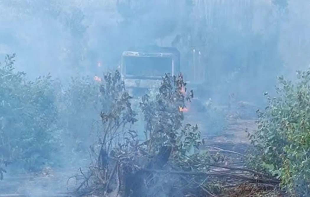 Atentado fundo Rinconada - Los Sauces Lumaco
