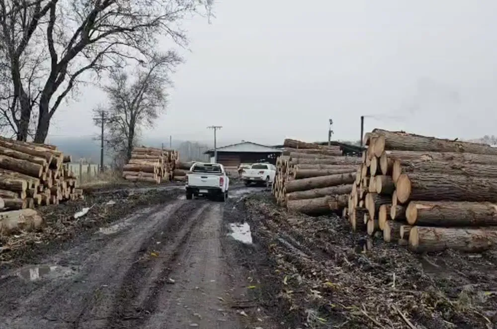 Empresario maderero detenido por secuestro