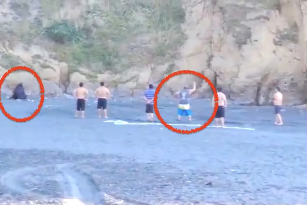 Hombre apedrea a lobo marino acorralado en playa de Carahue