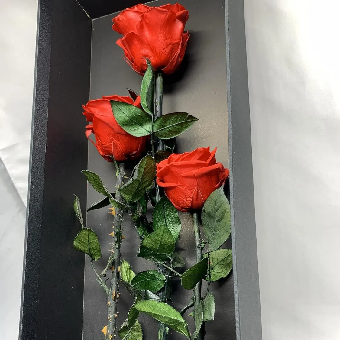 Rosas rojas en caja negra - fotografia referencial