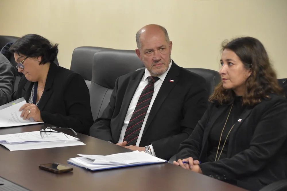 proyecto de mega parque deportivo Antumalén