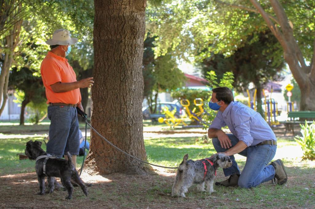 Candidato Daniel Schmidt.