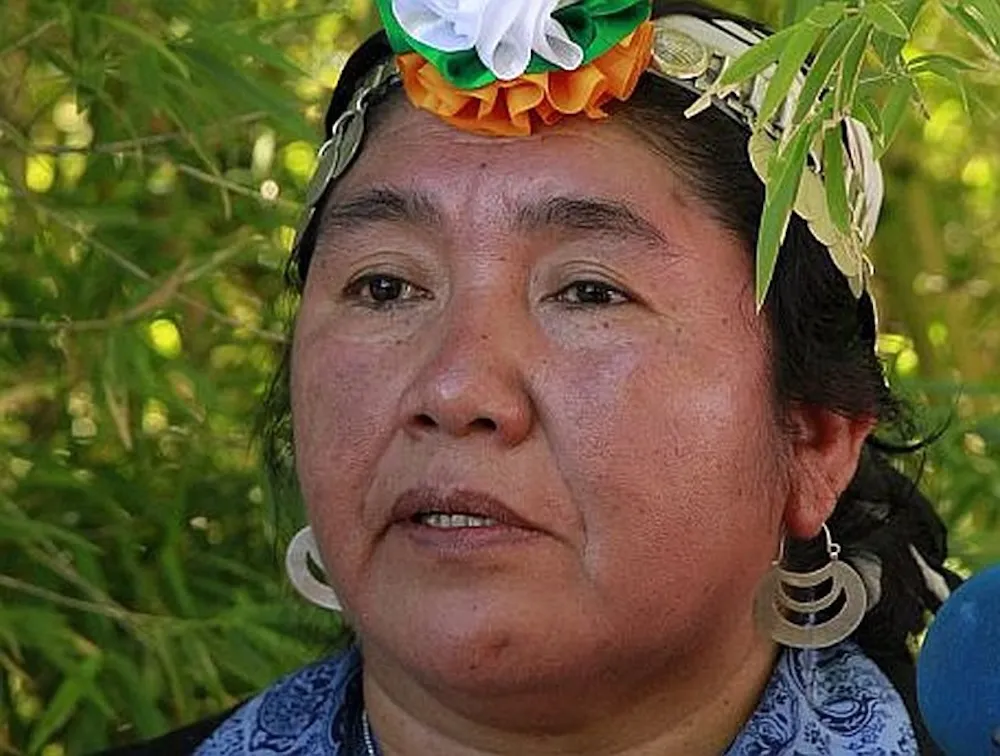 Consejera nacional mapuche Ana Llao