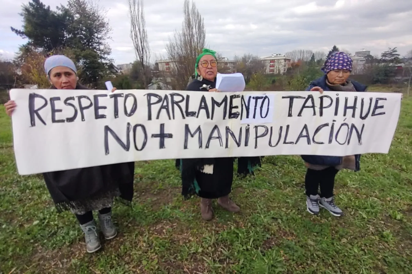 Rechazo al acto de conmemoracion del Tratado de Tapihue
